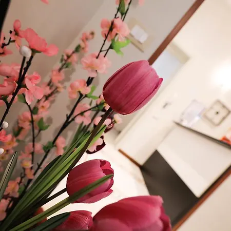 Bed & Breakfast Brezza Di Mare Trapani